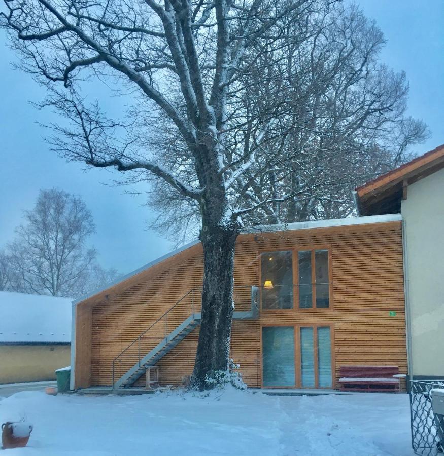 Loft Mit Dachterrasse Leilighet Bernau am Chiemsee Eksteriør bilde